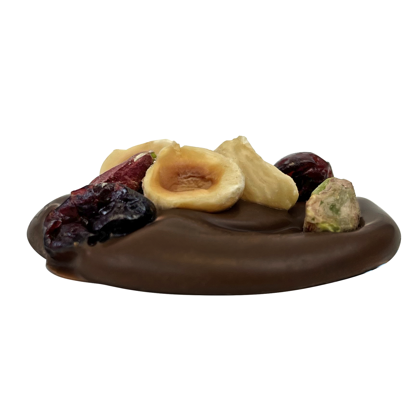 Assorted Dark Chocolate Mendiants FLX9030